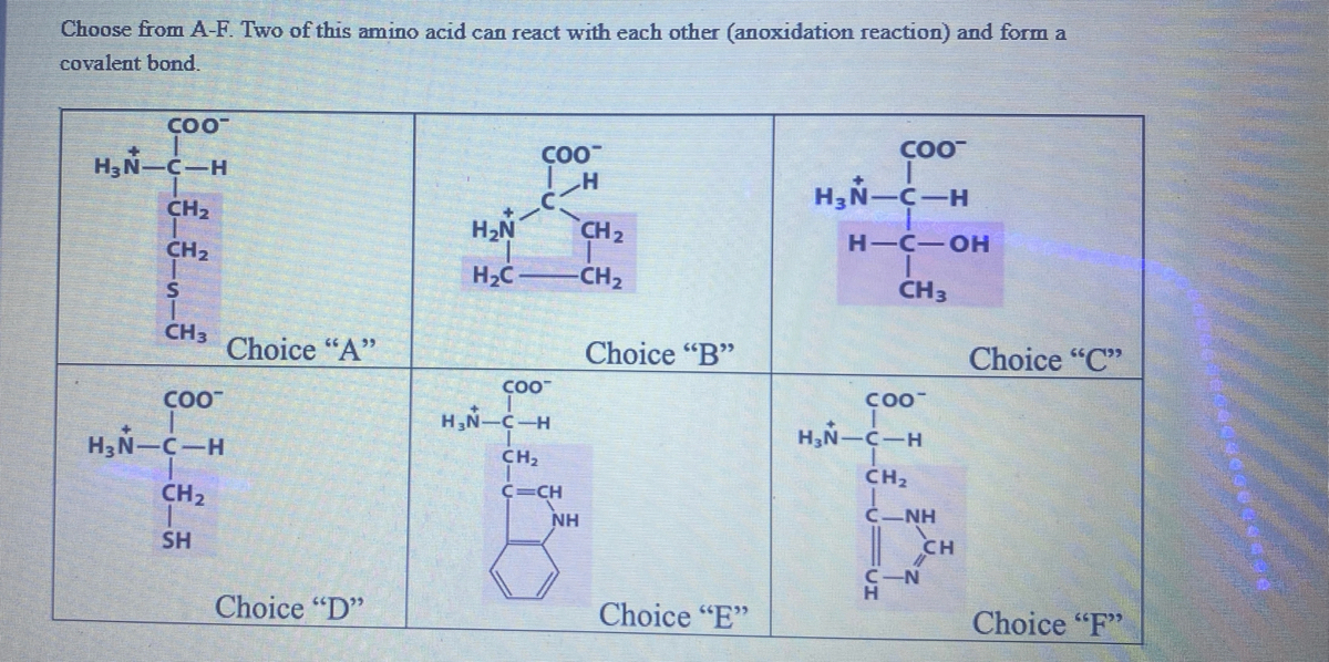 Answered Choose From A F Two Of This Amino Acid Bartleby