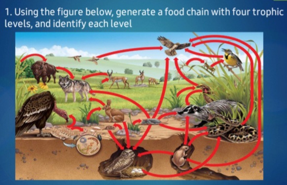 Answered: 1. Using the figure below, generate a… | bartleby