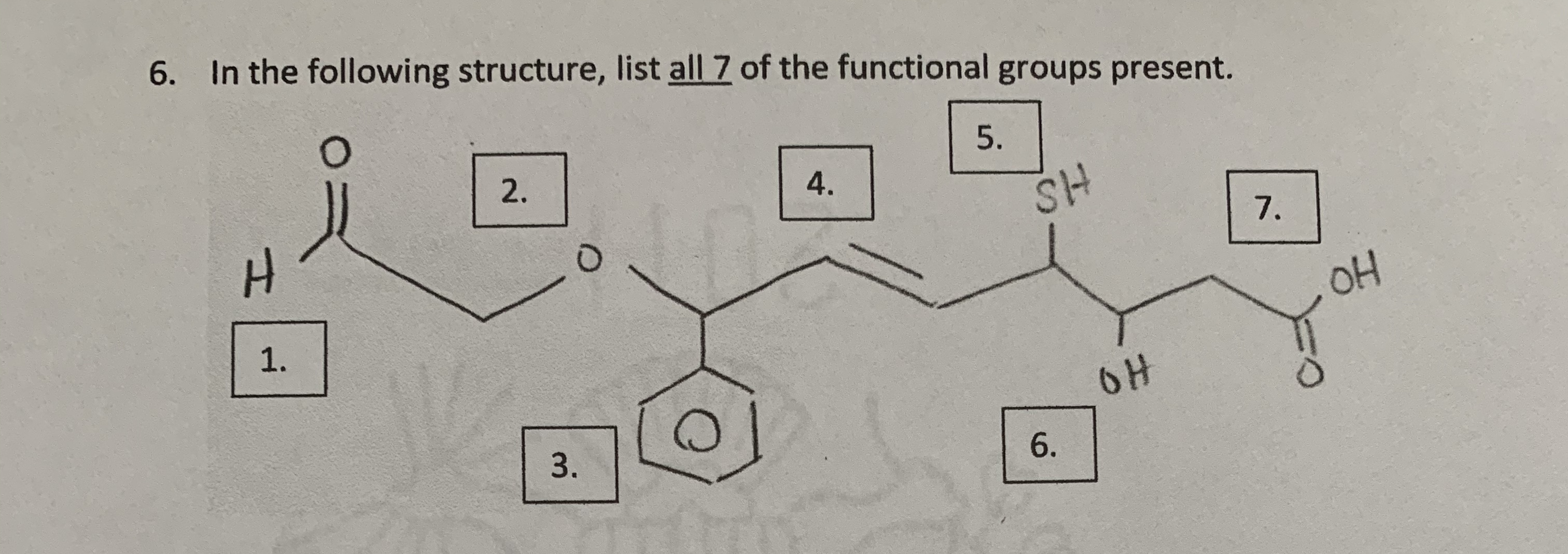 Answered In The Following Structure List All 7 Bartleby