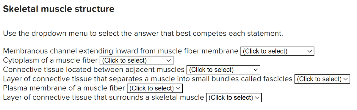 Answered Skeletal Muscle Structure Use The Bartle