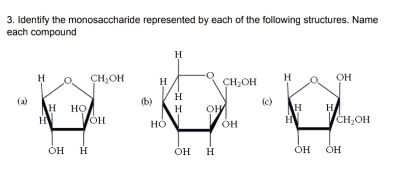 Answered: 3. Identify The Monosaccharide… 