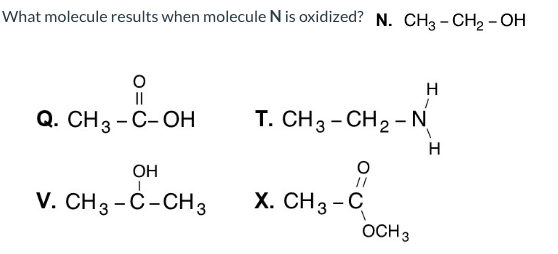 Answered What Molecule Results When Molecule N Bartleby